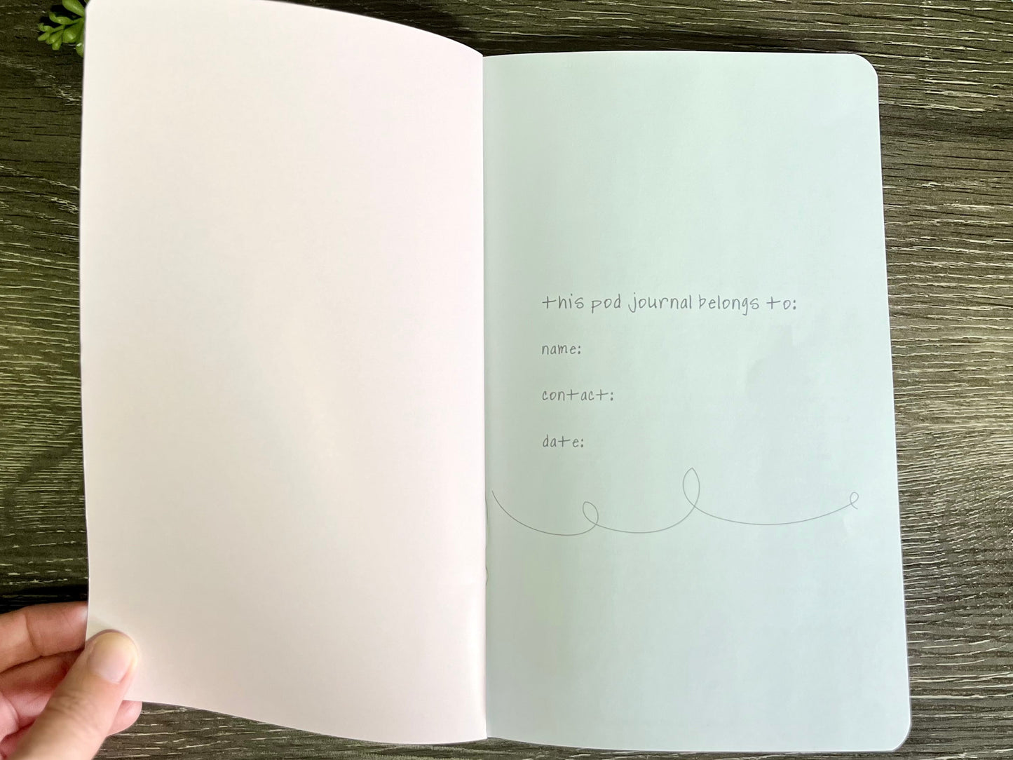 Podcast Journal