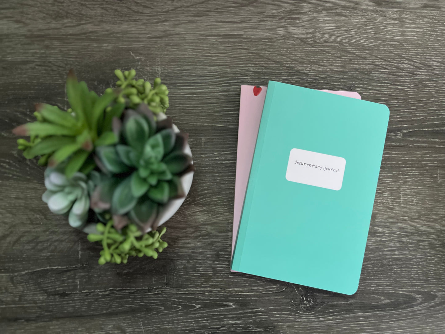 Documentary Journal