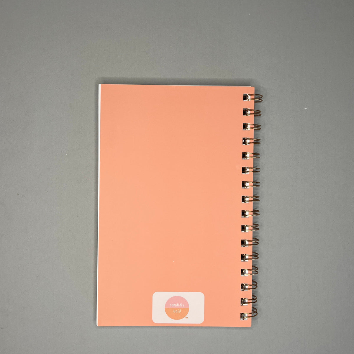 Podcast Listener Journal