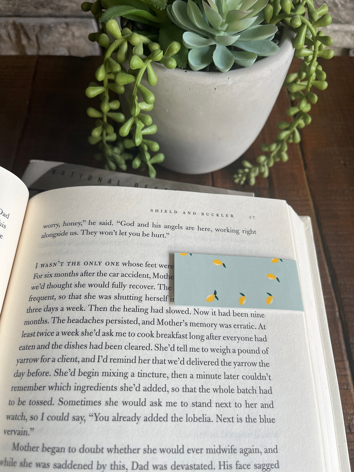 Page Huggers (3-Pack)